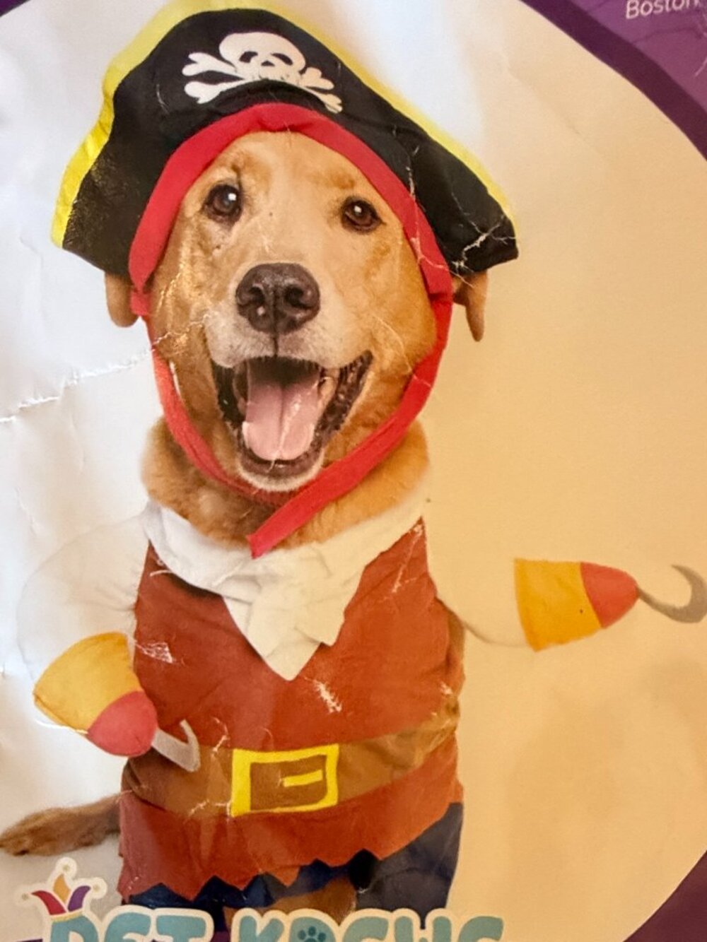 Adorable Pet Krewe "Unleash the Parade" Pirate Dog Costume Set – Size Large